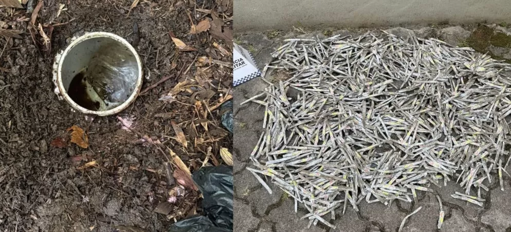 PATAMO do 30º BPM apreende grande quantidade de maconha em área de mata na Quinta-Lebrão