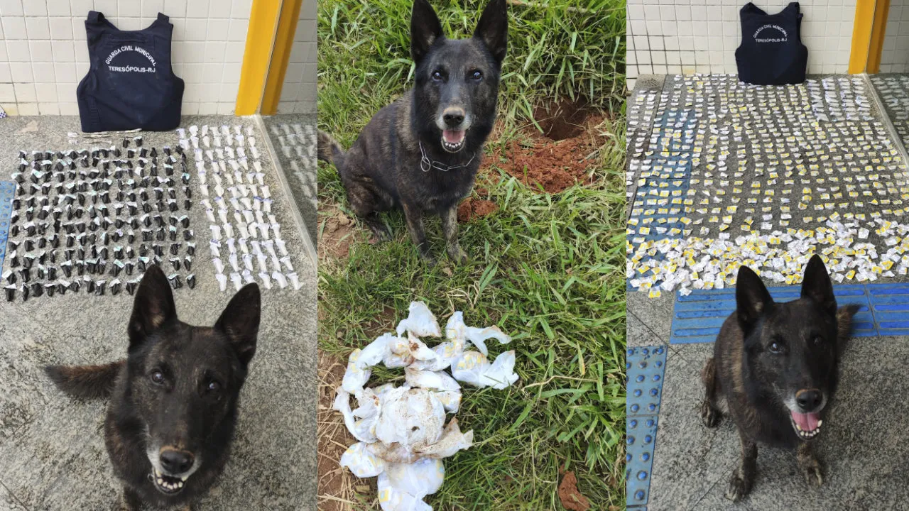 Tráfico tem grande prejuízo com apreensões no Rosário e Perpétuo