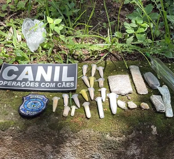 Canil da GM encontra drogas e réplica de arma durante treinamento em Petrópolis