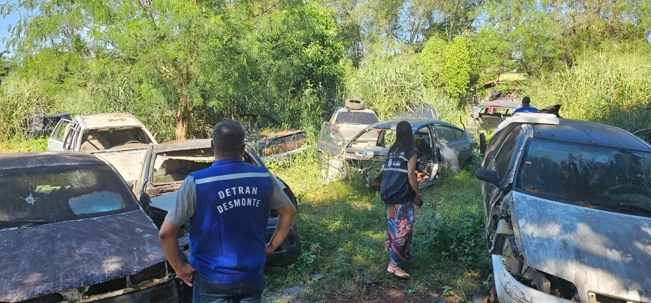 Agentes da Operação Desmonte encontram  cemitério de automóveis em Itaboraí, na Região Metropolitana