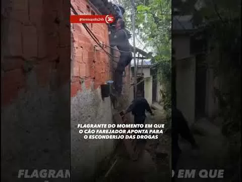 Companhia de Cães da Guarda Civil auxilia PM em apreensão de drogas em Teresópolis