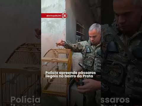 Polícia apreende pássaros ILEGAIS no bairro da Prata em Teresópolis