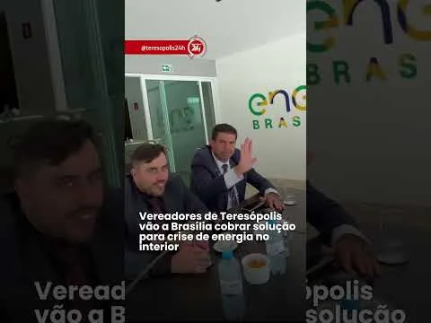 Vereadores levam demandas de Teresópolis a Brasília e cobram melhorias no fornecimento de energia